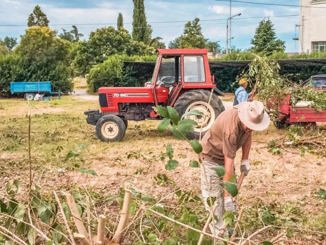 Ile zarabia pracownik w gospodarstwie rolnym? Poznaj aktualne stawki Ile zarabia pracownik w gospodarstwie rolnym? Poznaj aktualne stawki
